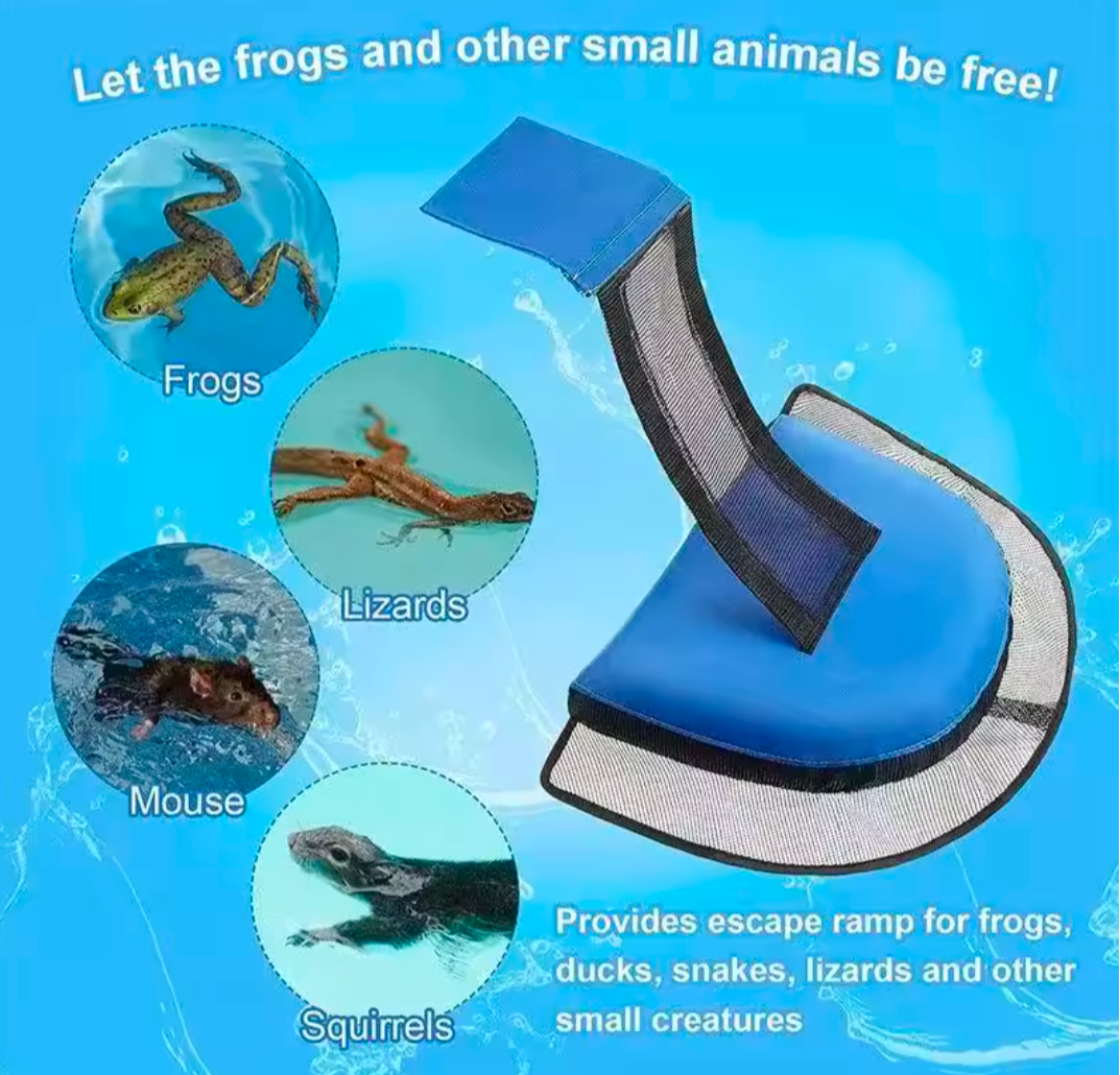 Pool Animal Escape Ramp
