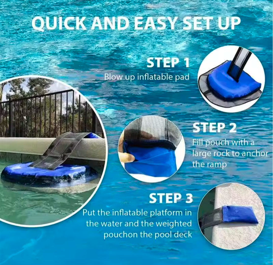 Pool Animal Escape Ramp